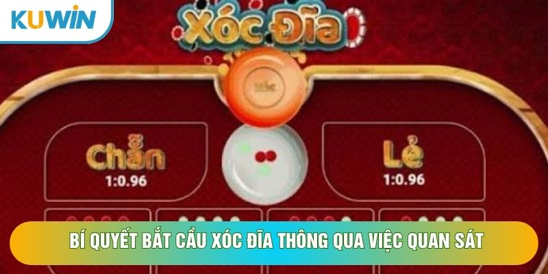 Bí quyết bắt cầu xóc đĩa thông qua việc quan sát Bí quyết bắt cầu xóc đĩa thông qua việc quan sát
