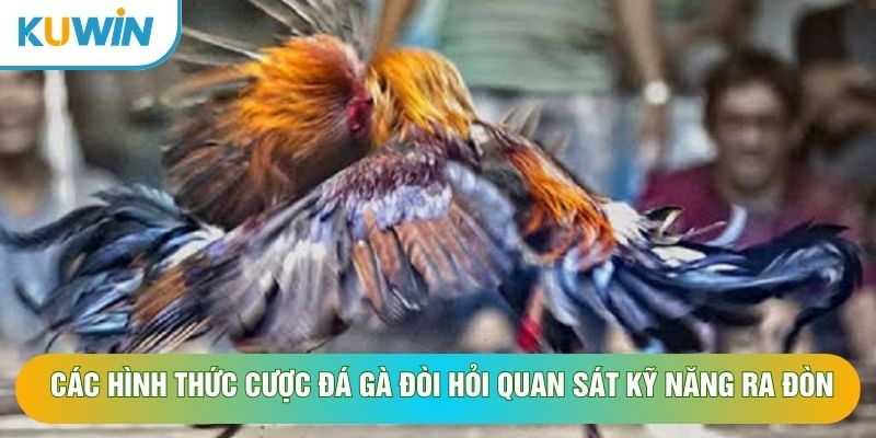 Các hình thức cược đá gà đòi hỏi quan sát kỹ năng ra đòn