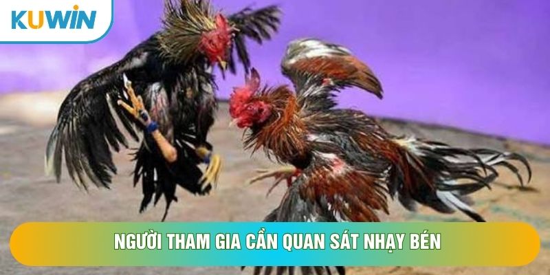 Người tham gia cần quan sát nhạy bén Người tham gia cần quan sát nhạy bén