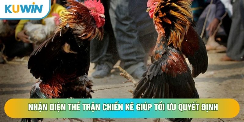 Nhận diện thế trận chiến kê giúp tối ưu quyết định