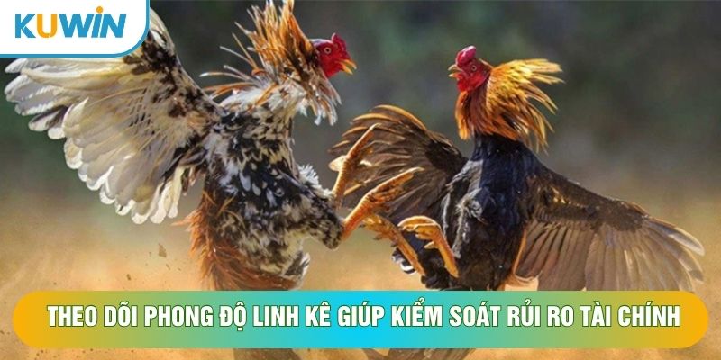 Theo dõi phong độ linh kê giúp kiểm soát rủi ro tài chính