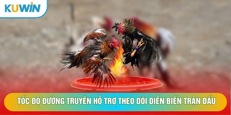 Tốc độ đường truyền hỗ trợ theo dõi diễn biến trận đấu
